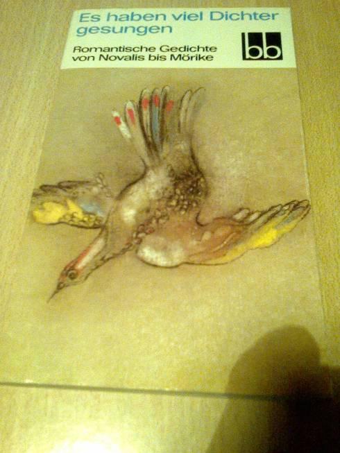 Bild verkleinern
