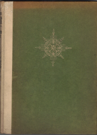 Bild verkleinern