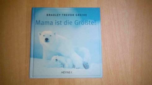 Bild verkleinern